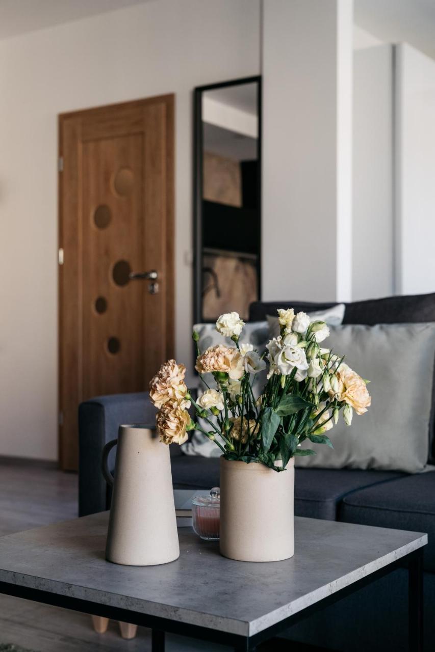 Vistula Apartment - Loftaffair Krakow Exterior photo